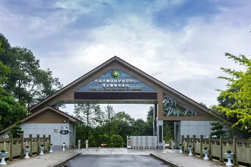 Giant Panda Base