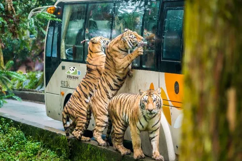 Wildlife World