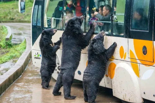 Wildlife World