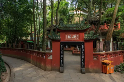 Calligraphy Stele Forest