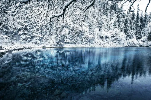 Wucai Pool