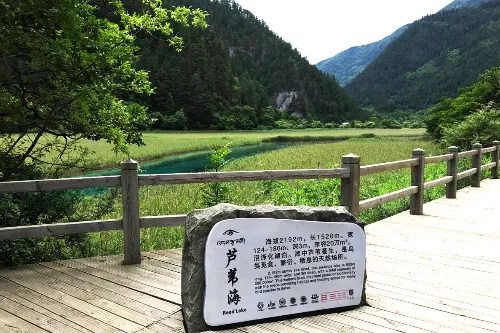 Luwei Hai