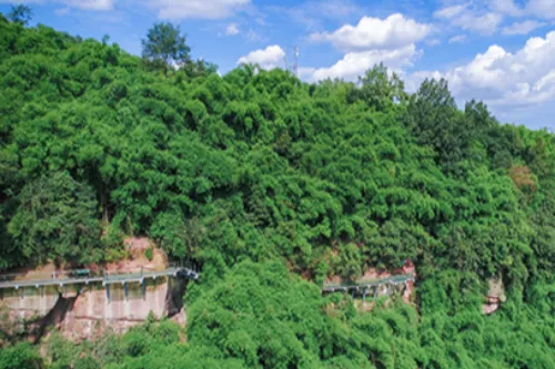 High-Altitude Glass Plank Road