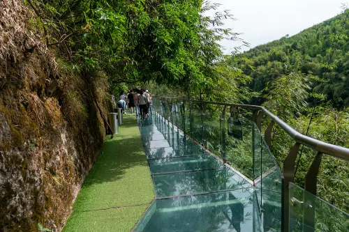 High-Altitude Glass Plank Road