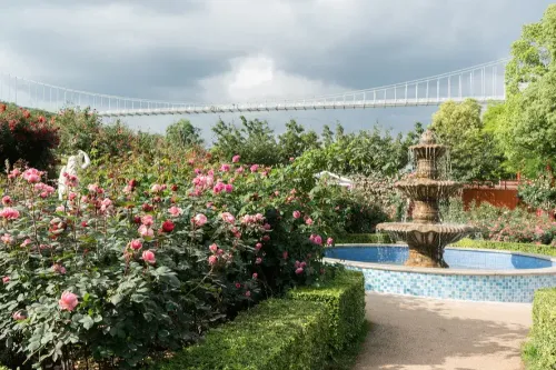 Da Vinci Rose Garden