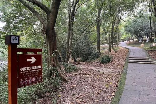 小熊貓2號活動場
