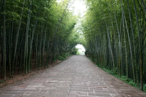 翡翠长廊