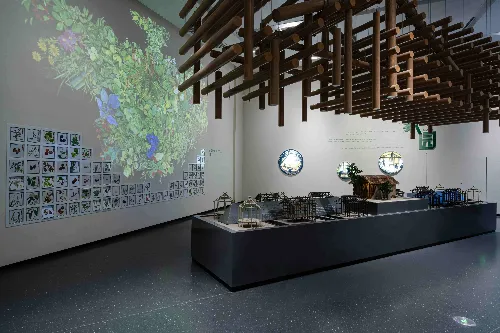 Interactive Experience Exhibition Hall