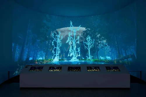 Interactive Experience Exhibition Hall
