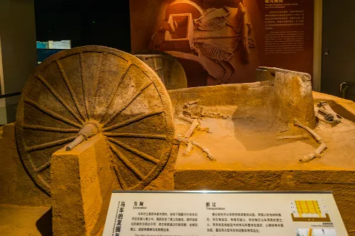 解读金沙