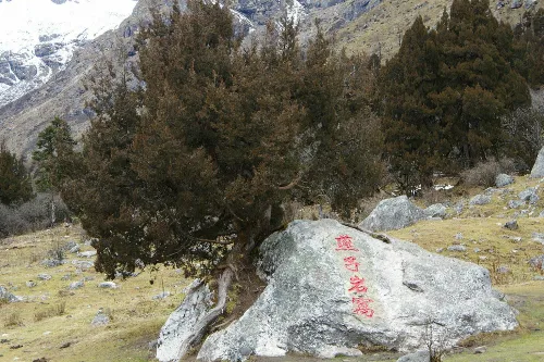 Yanziyanwo