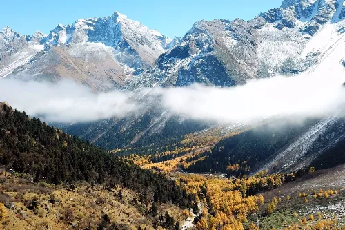 Red Leaf Valley