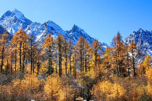 Red Leaf Valley