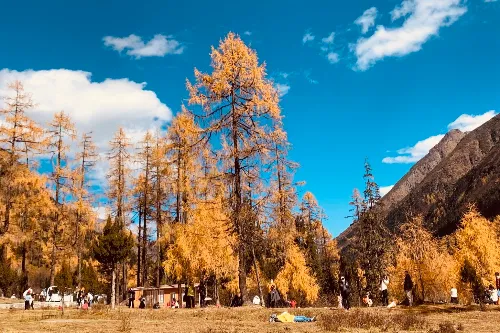 Red Leaf Valley