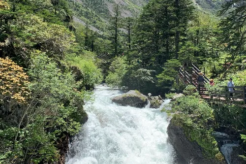Azalea Gorge