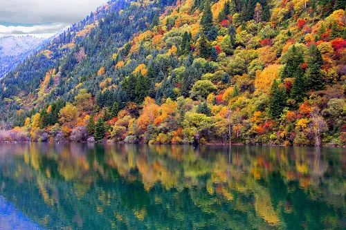 Golden Monkey Lake