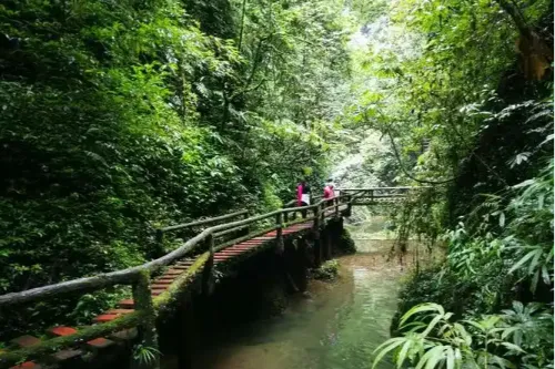 五龙沟