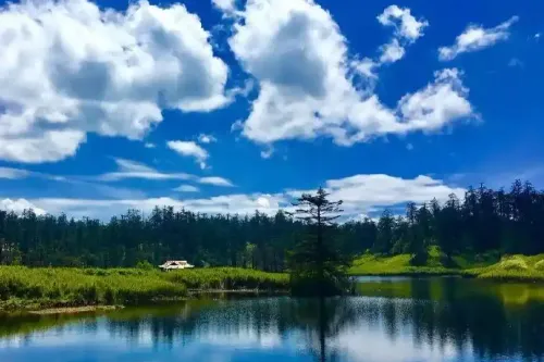 Yuanyang Pool