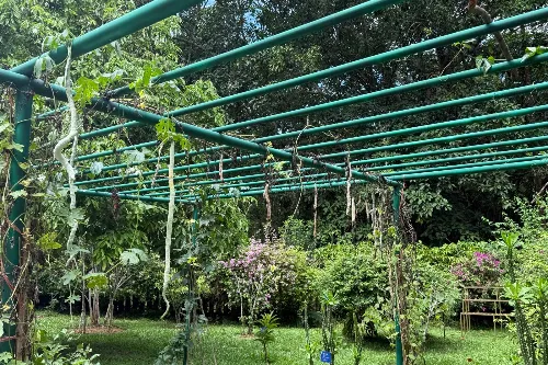 Garden of Rare Flowers and Exotic Plants