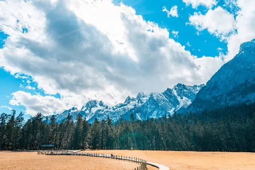 Spruce Meadow