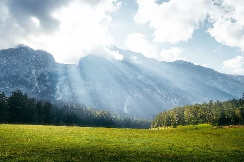 Spruce Meadow
