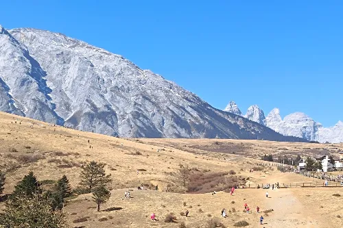 Yak Meadow