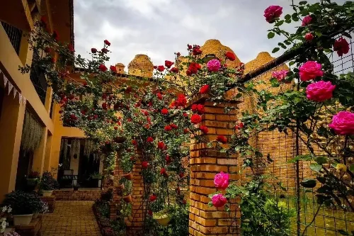 牛哆啰音乐农庄