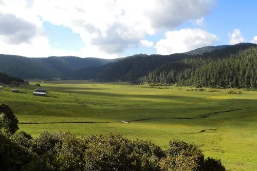弥里塘亚高山草甸