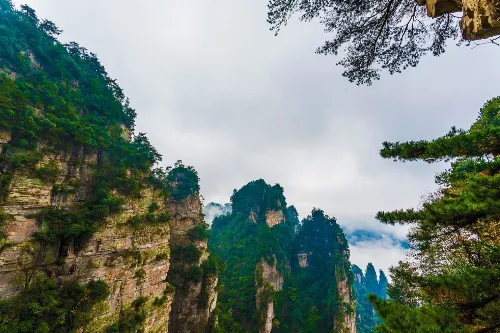 Yangjiajie Scenic Area