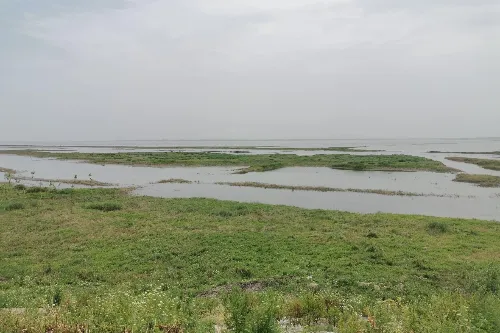 東洞庭湖國家級自然保護區