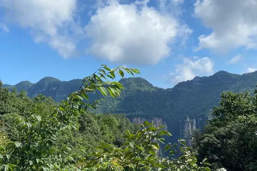 Biye Yaotai Scenic Area