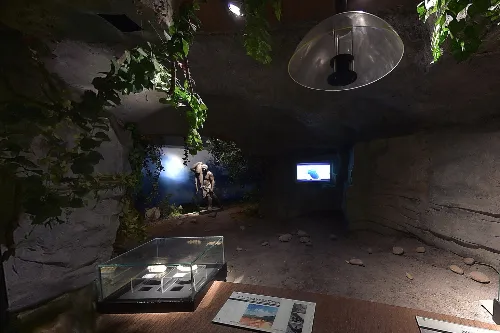 The Ancient Bayu Exhibition Hall