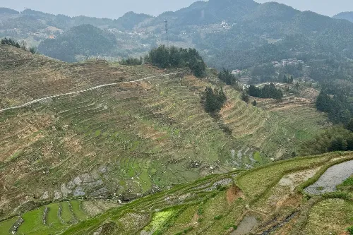 月牙山梯田