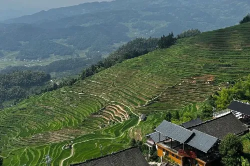 瑶人冲梯田