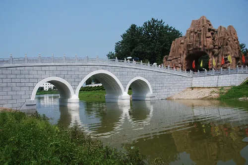 Bird Language Jungle