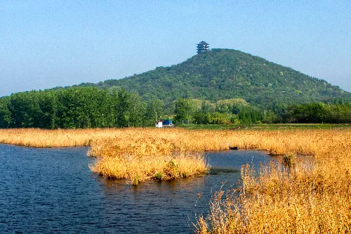 Binjiang Wetland Park