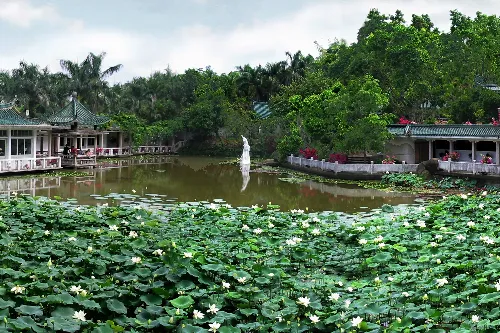 Hundred Flowers Hall