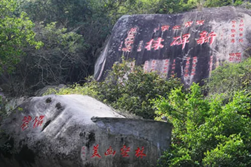 New Stone Forest of Steles