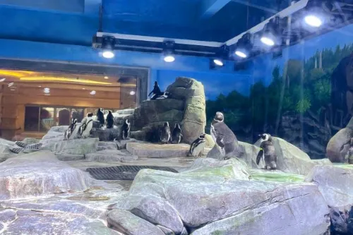 南极企鹅馆