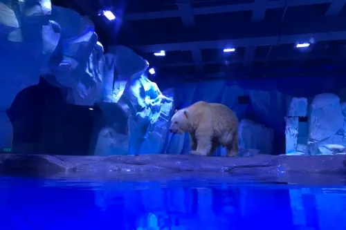 冰山北极馆