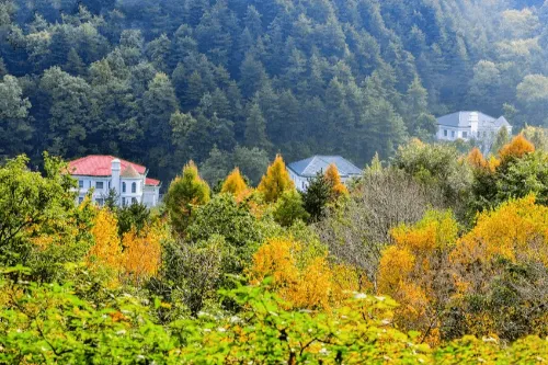 Maiji Mountain Botanical Garden