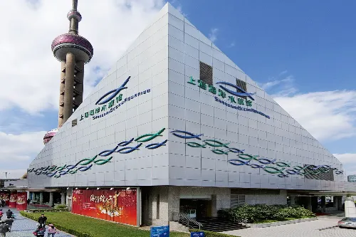 Shanghai Ocean Aquarium - Shanghai Tourist Attraction