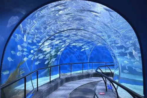 Underwater Tunnel