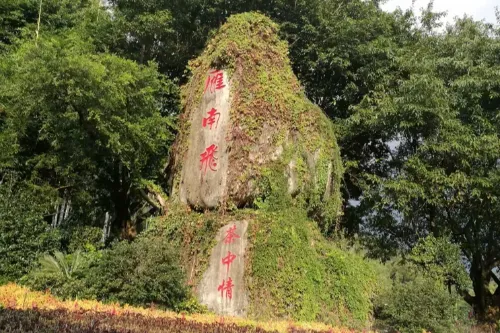 Yannanfei Magic Stone