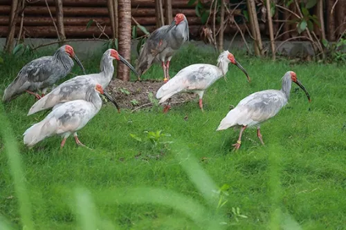 Water Exploration Area