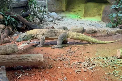 Amphibian, Reptile and Fish Area