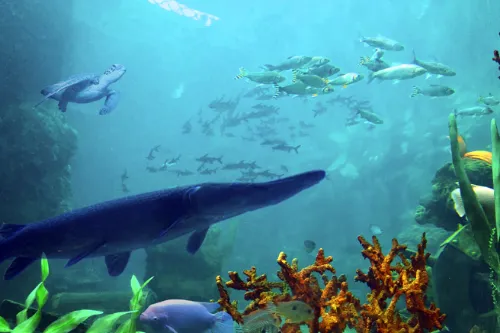 Underwater World Theme Park