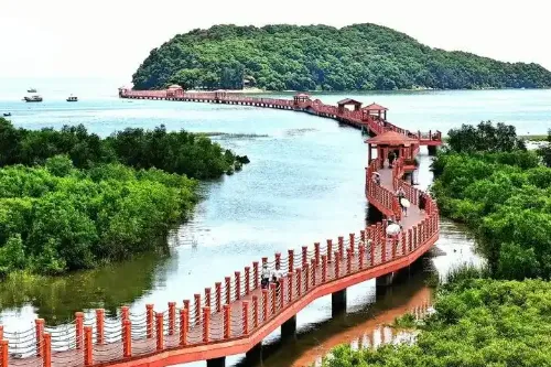 Hailing Island Mangrove Wetland Park