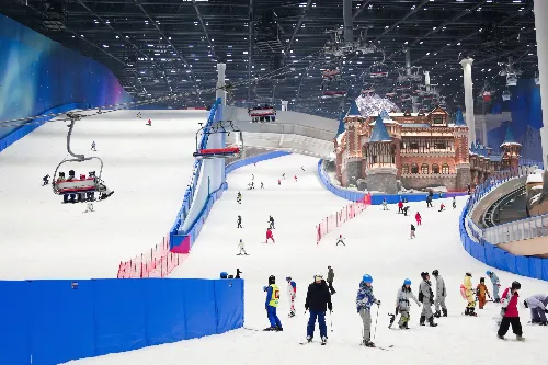 Professional Skiing Area