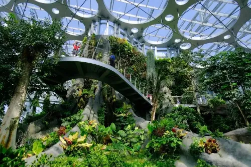 Pavilion 2 &middot; Cloud Forest